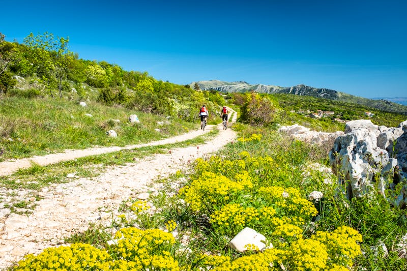 Wanderweg im Naturpark Ucka - Istrien - ©©photoflorenzo - stock.adobe.com