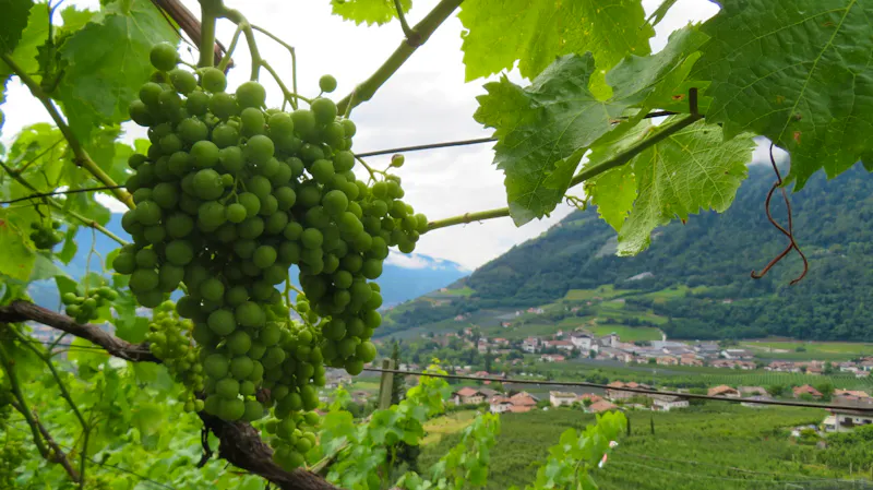 Algunder Waalweg - &copy;Doreen Päßler