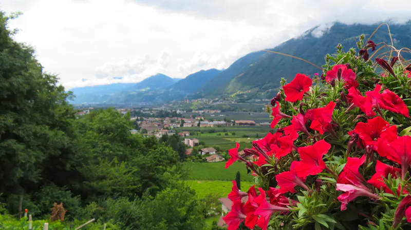 Blick auf Meran - &copy;Doreen Päßler