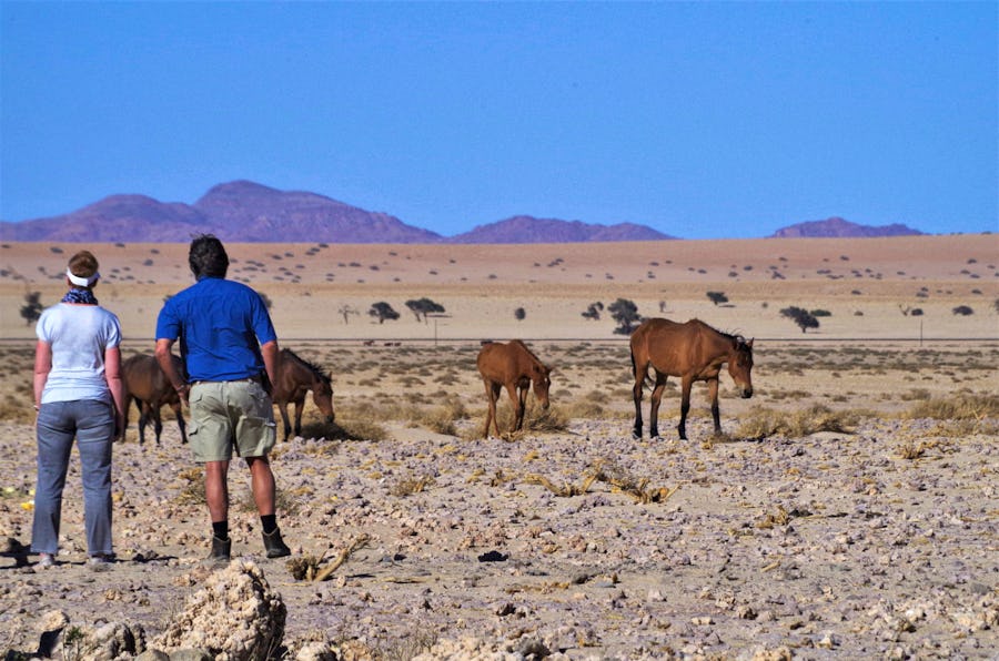 Wildpferde bei Aus in Namibia – © Eberhardt TRAVEL - Annett Müller