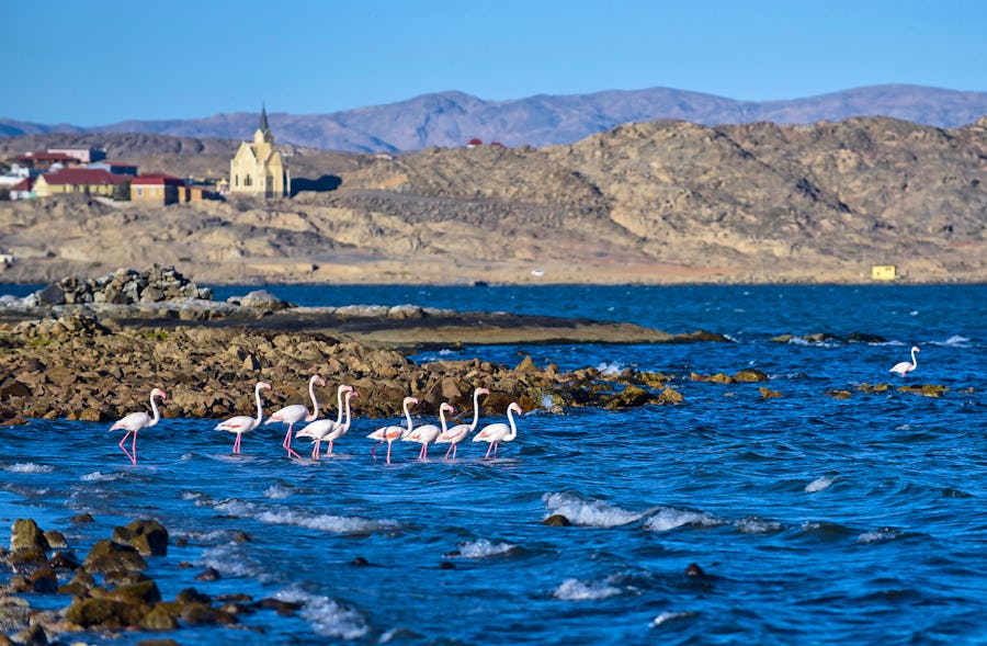 Flamingos in Lüderitz – © ©Johann - stock.adobe.com