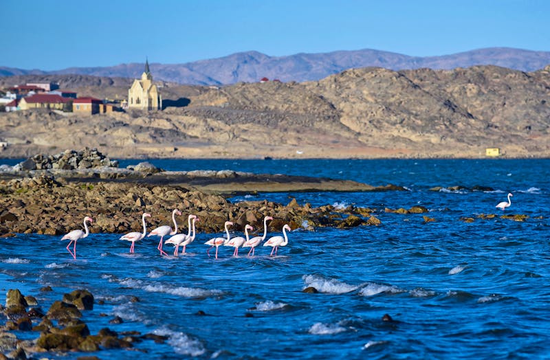 Flamingos in Lüderitz - ©©Johann - stock.adobe.com