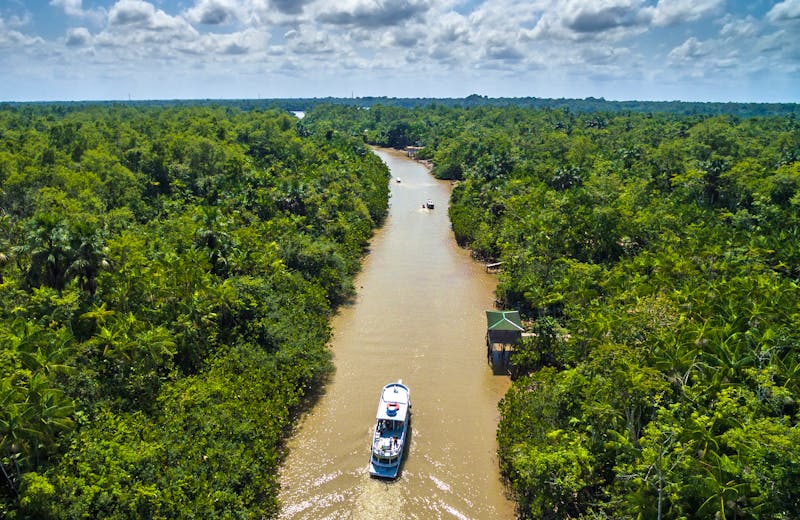 Amazonas Kreuzfahrt in Brasilien - ©©gustavofrazao - stock.adobe.com