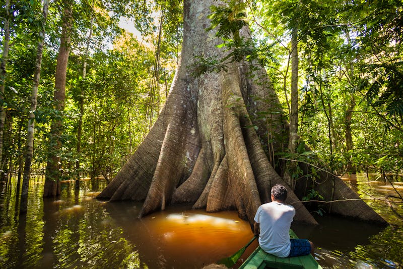 Bootsexkursion im Amazonas-Gebiet am Rio Negro - ©©Imago Photo - stock.adobe.com