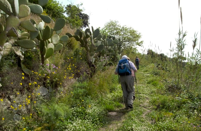 Wanderung Monte Poro - ©Claudia Hartwich