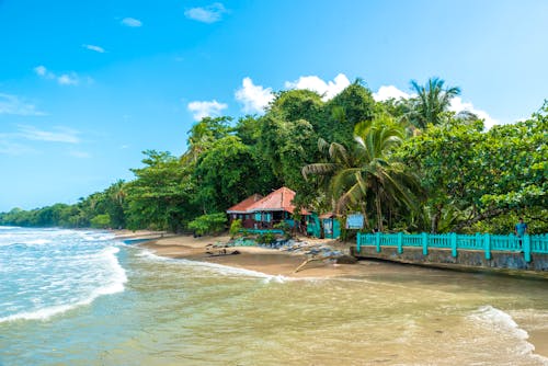 Cahuita-Nationalpark &ndash; &copy; Simon Dannhauer - stock.adobe.com
