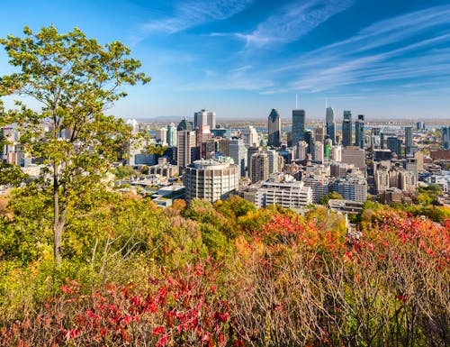 Blick auf Montreal vom Mont Royal im Indian Summer – © ©mbruxelle - stock.adobe.com