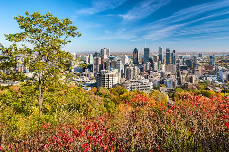 Blick auf Montreal vom Mont Royal im Indian Summer - ©©mbruxelle - stock.adobe.com
