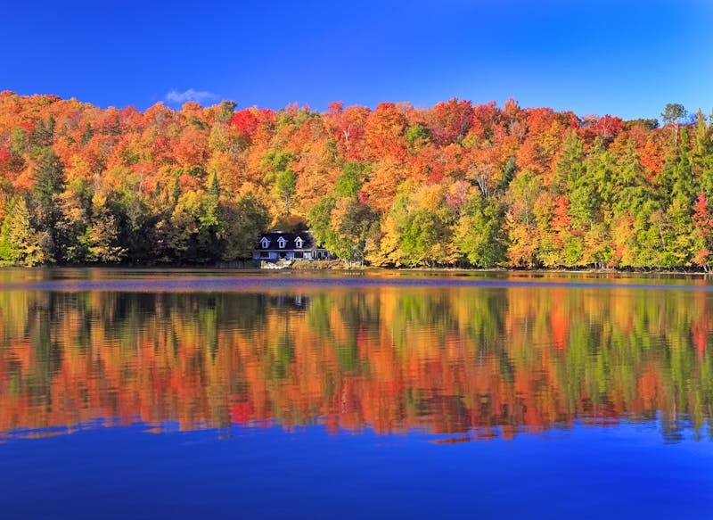 Indian Summer Laubfärbung bei Mont Tremblant  - ©©vlad_g - stock.adobe.com