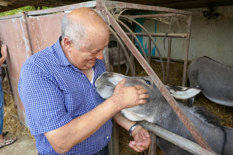 Montebaducco - Eselfarm - ©Philipp Schmitz
