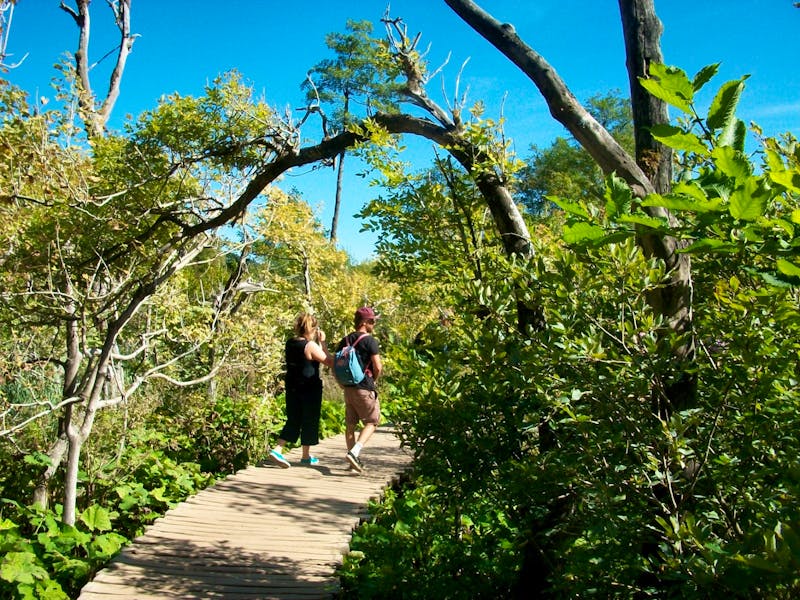 Wanderung im Nationalpark der Plitwitzer Seen  - ©Eberhardt TRAVEL