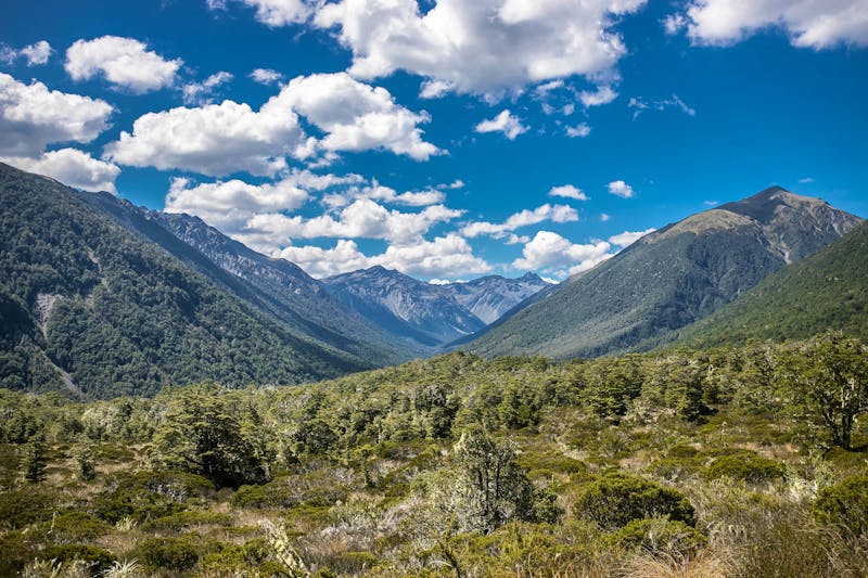Lewis Pass, Neuseeland - ©Alena Yakusheva - stock.adobe.com