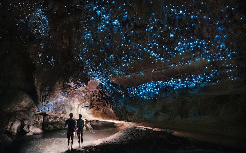 glow worm cave - Waipu cave - ©Marcel - stock.adobe.com