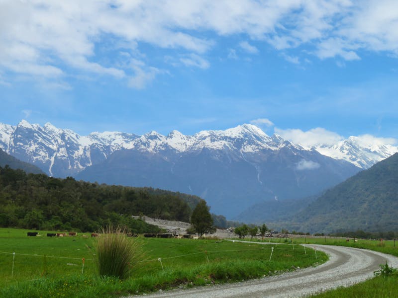 Greymouth - Fox Gletscher - ©Juliane Voigt