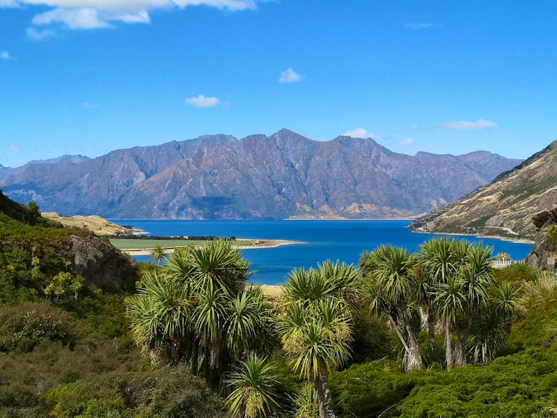 Lake Hawea - ©Juliane Voigt