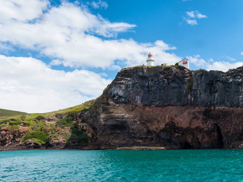 Taiaroa Head, Otago Halbinsel - ©Anna Stiebing