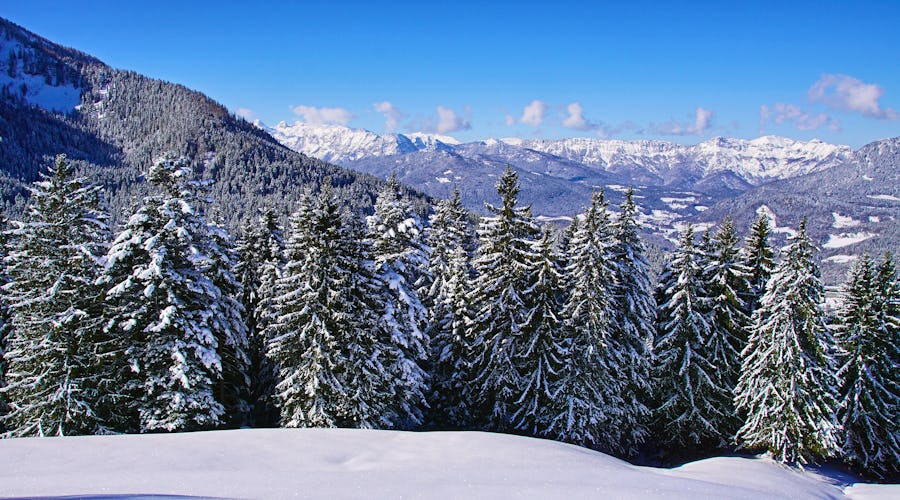 Panoramablick von der Roßfeldhöhenringstraße auf die winterliche Berglandschaft – © ©Jürgen Hamann - stock.adobe.com