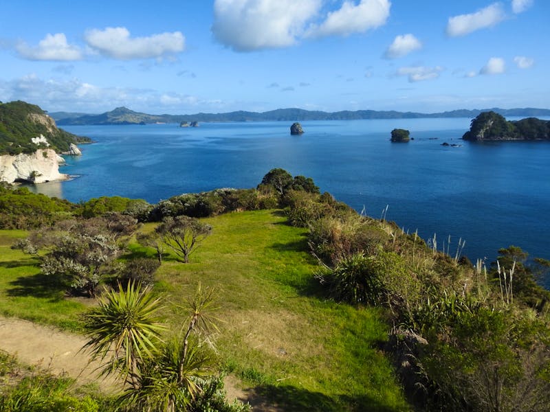 Coromandel-Halbinsel Neuseeland - ©Sabine Letzybyll