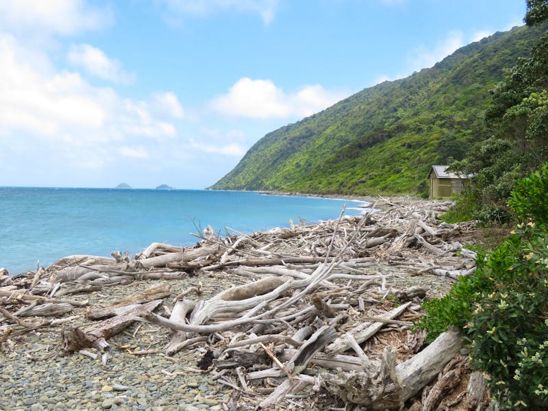 Kapiti Island - ©Juliane Voigt