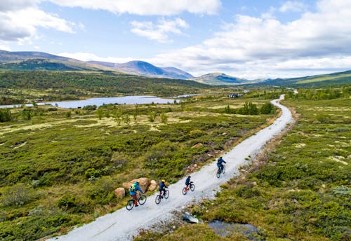 Fahrradfahrer auf dem Tour de Dovre &ndash; &copy; Scanout.com - Mountains of Norway