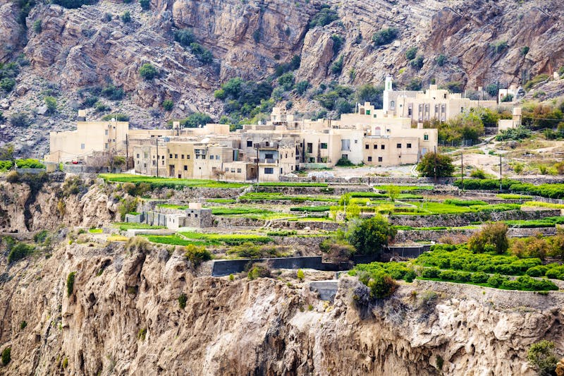 Terrassenfelder auf dem Saiq Plateau am Jebel Akhdar - ©©Wolfgang Zwanzger - stock.adobe.com