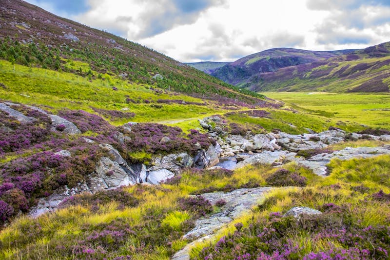 Schottische Highlands - ©©iweta0077 - stock.adobe.com
