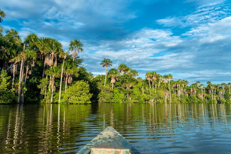 Morgenstimmung am Lago Sandoval, Peruanischer Amazonas - ©©schame87 - stock.adobe.com
