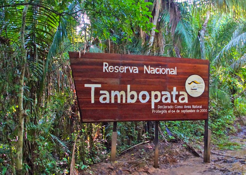 Reserva Nacional Tambopata - ©Andreas Böcker