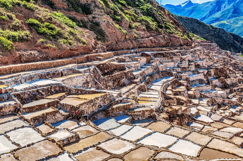  Maras - ©©Marek - stock.adobe.com