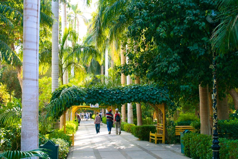 Botanischer Garten auf der Kitchener Insel in Assuan - ©Eberhardt TRAVEL - Kristin Weigel