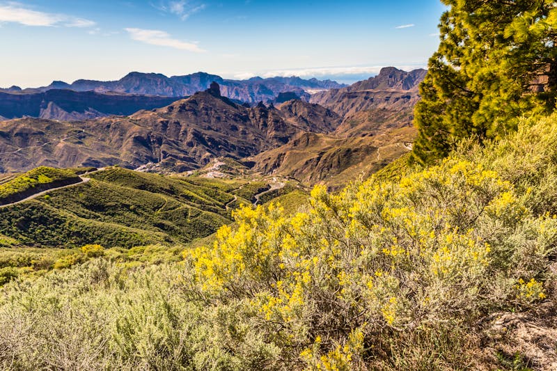 Caldera des Tejeda auf Gran Canaria - ©©zm_photo - stock.adobe.com