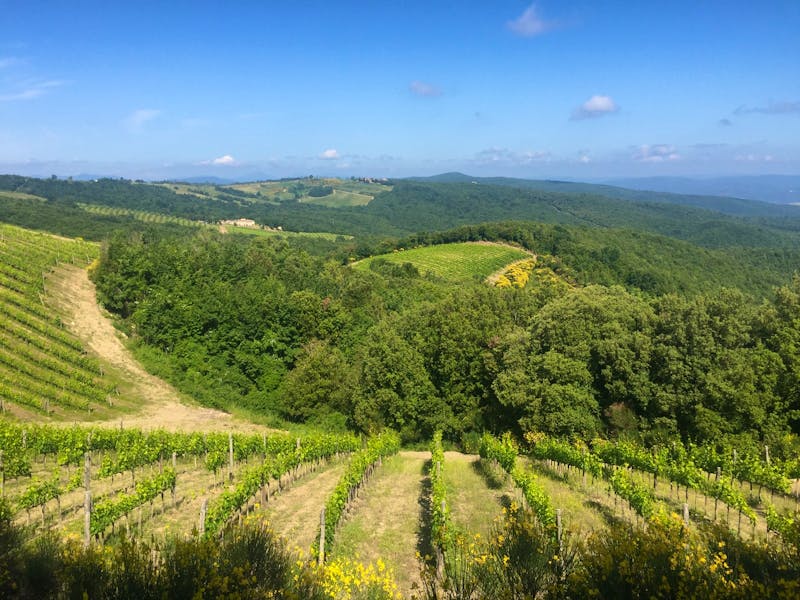 Bei Montalcino - ©Patrick Fritzsche