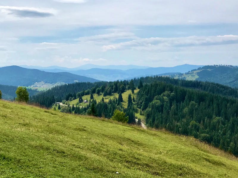Fahrt in den Karpaten - ©Magda-Viola Hanke