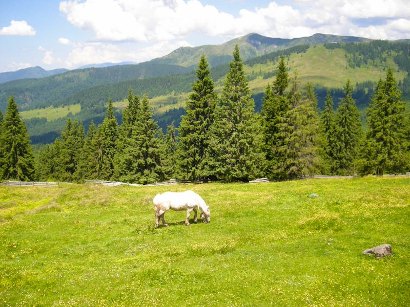 Impressionen in den Karpaten - ©Enrico Albrecht
