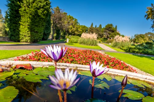 Parco Sigurta &ndash; &copy; Catello - stock.adobe.com