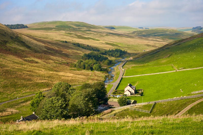Farmland in Northumberland, England - ©©duncanandison - stock.adobe.com
