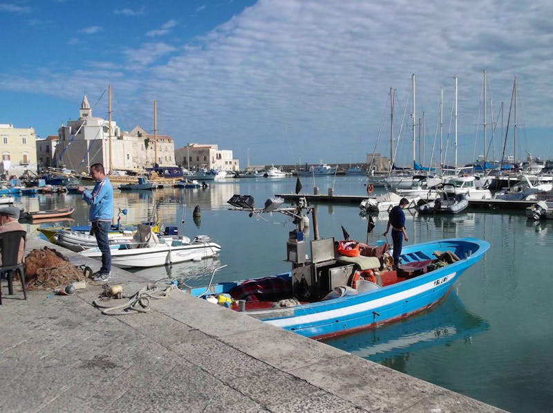 Hafen von Trani - ©Karin Schröter