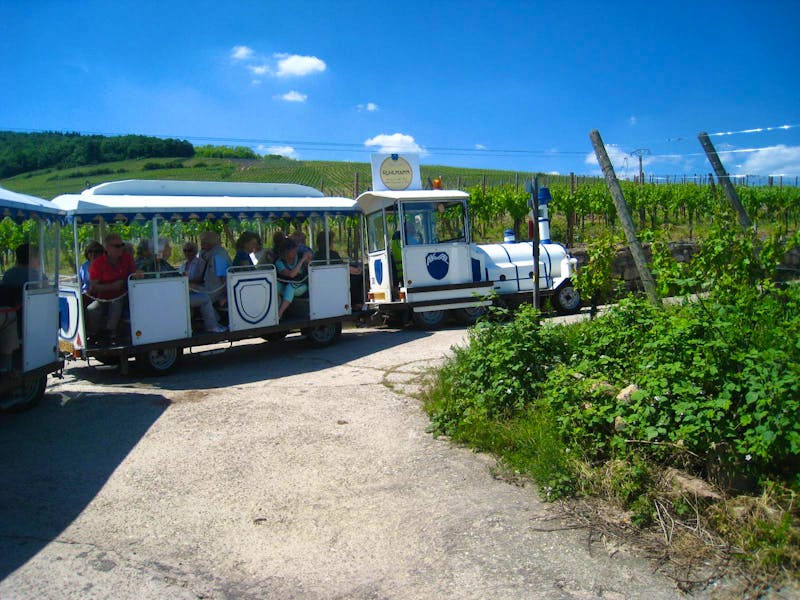 Zugfahrt durch die Weinberge bei Dambach la Ville - ©Eberhardt TRAVEL -  Jürgen Schmeißer