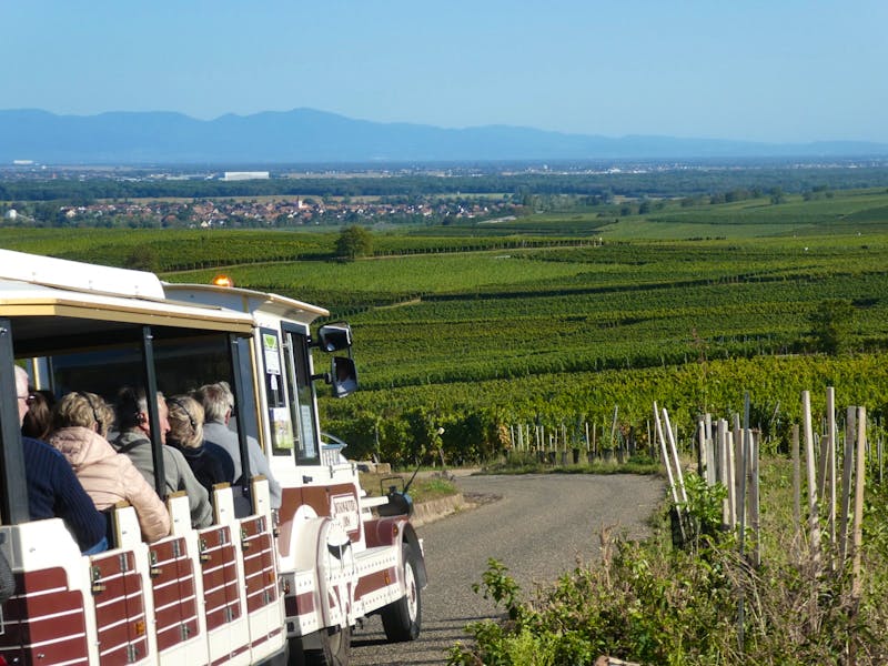 Zugfahrt bei Eguisheim - ©Eberhardt TRAVEL - Kerstin Hugel