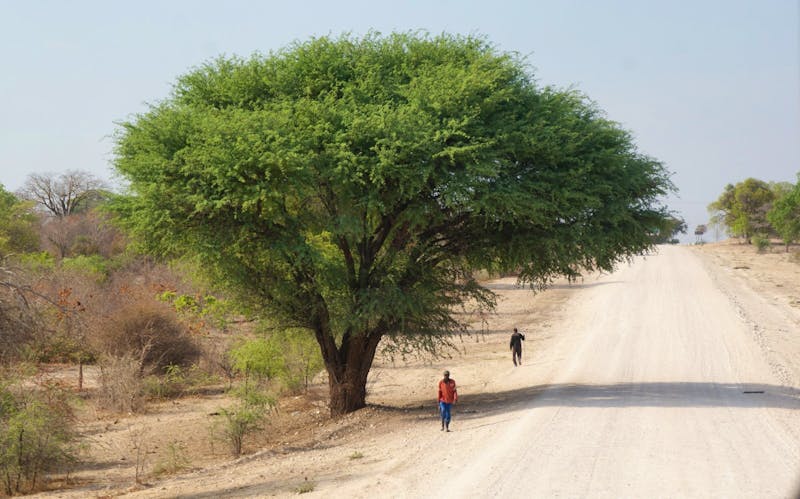 Fahrt durch Namibia - ©Susanne Schirmann - Eberhardt TRAVEL