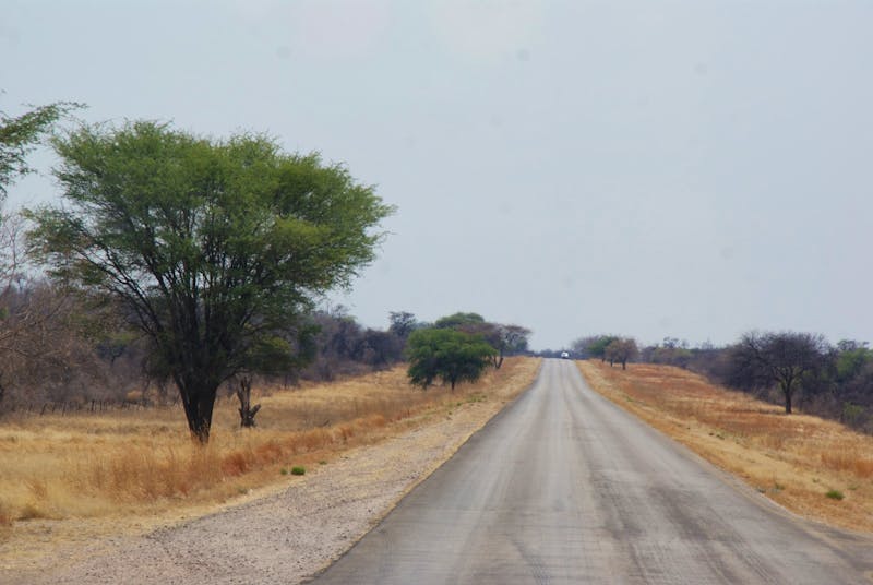 Fahrt auf dem Trans Caprivi Highway - ©Susanne Schirmann - Eberhardt TRAVEL