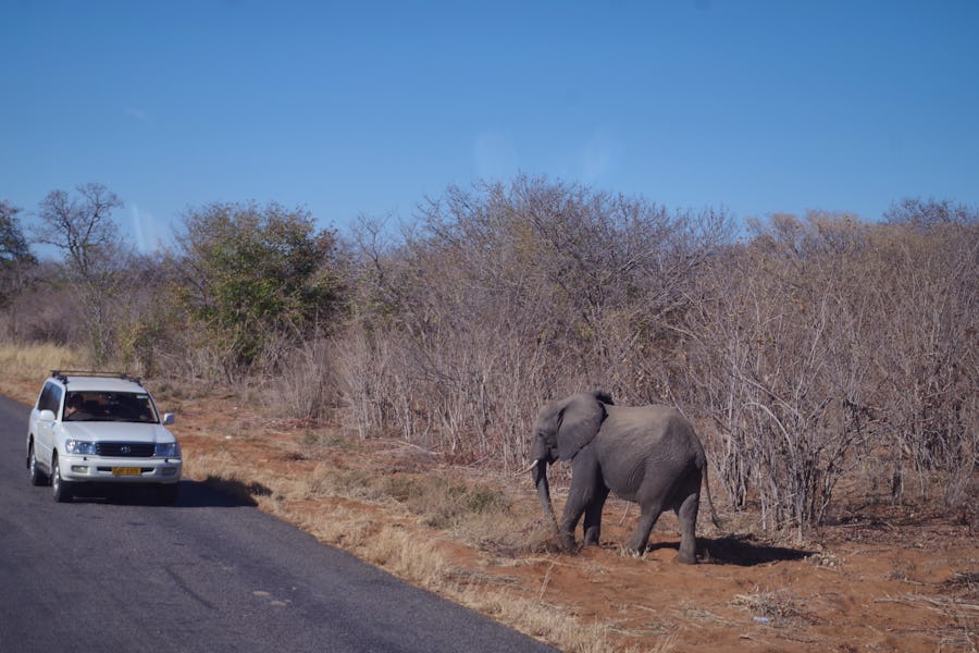 Unterwegs nach Simbabwe – © Annett Müller - Eberhardt TRAVEL