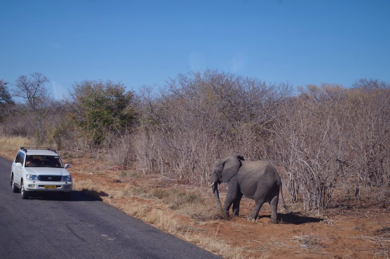 Unterwegs nach Simbabwe - ©Annett Müller - Eberhardt TRAVEL