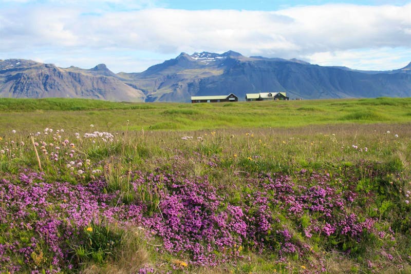 Snaefellsness-Halbinsel - ©Isabel Braksiek