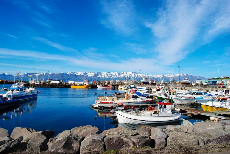 Hafen von Husavik - ©Mario Scheinert
