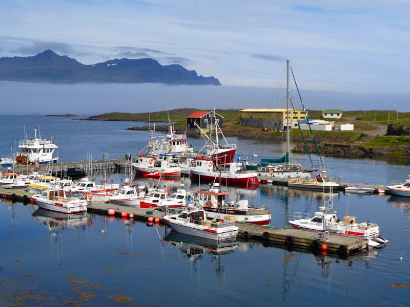 Island - Ostfjorde, Djupivogur  - ©Martina Häselbarth