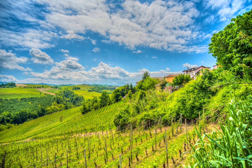 Piemonte - Le Langhe - Weinregion &ndash; &copy; Gioco - stock.adobe.com
