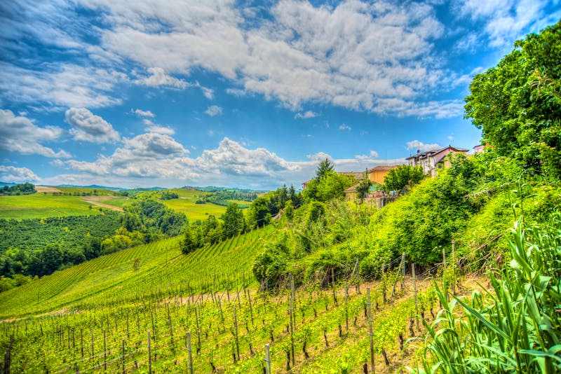 Piemonte - Le Langhe - Weinregion - ©Gioco - stock.adobe.com