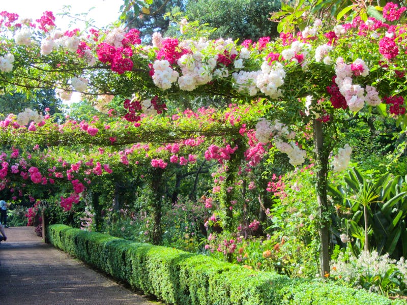 Quinta do Palheiro auf Madeira - ©Eberhardt TRAVEL - Arne Schlösser