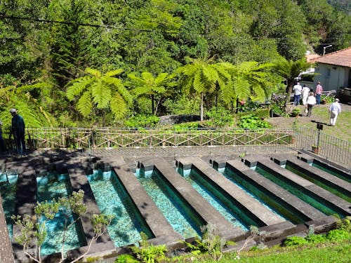 Levada-Wanderung bei Ribeiro Frio auf Madeira &ndash; &copy; Eberhardt TRAVEL - Hans-Joachim Trutz